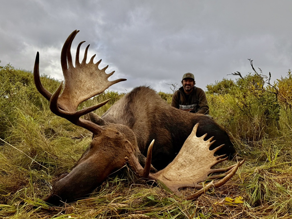 ALASKA (1)