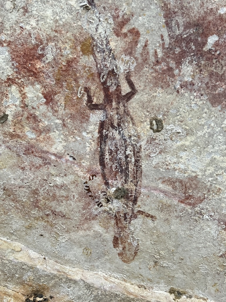 AUSTRALIA (5)