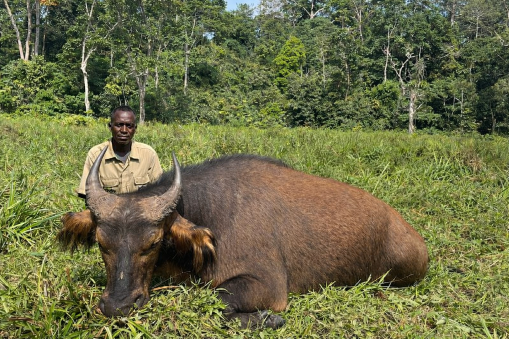 CAMEROON (10)