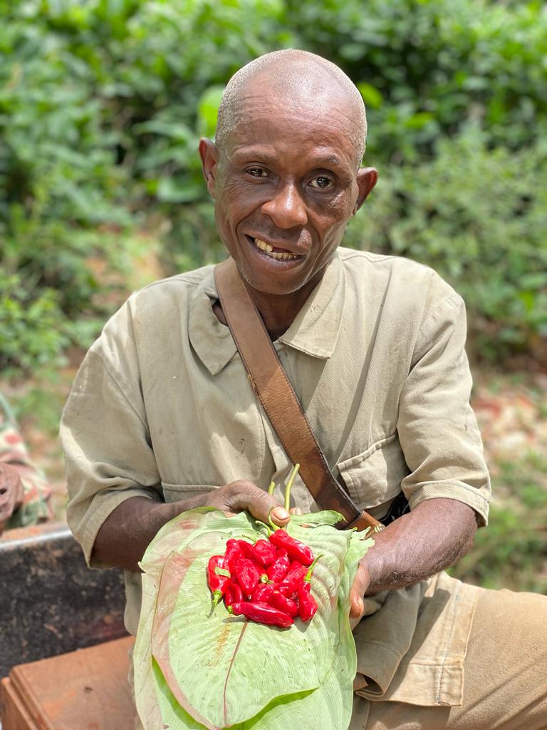 CAMEROON (3)