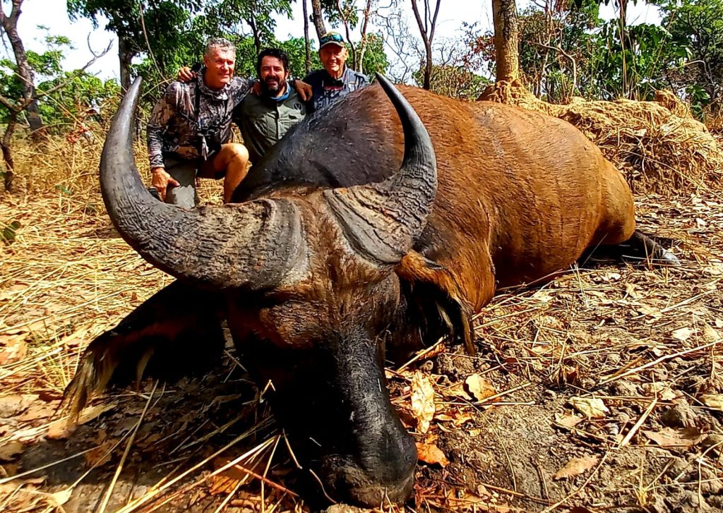 CAMEROON (4)