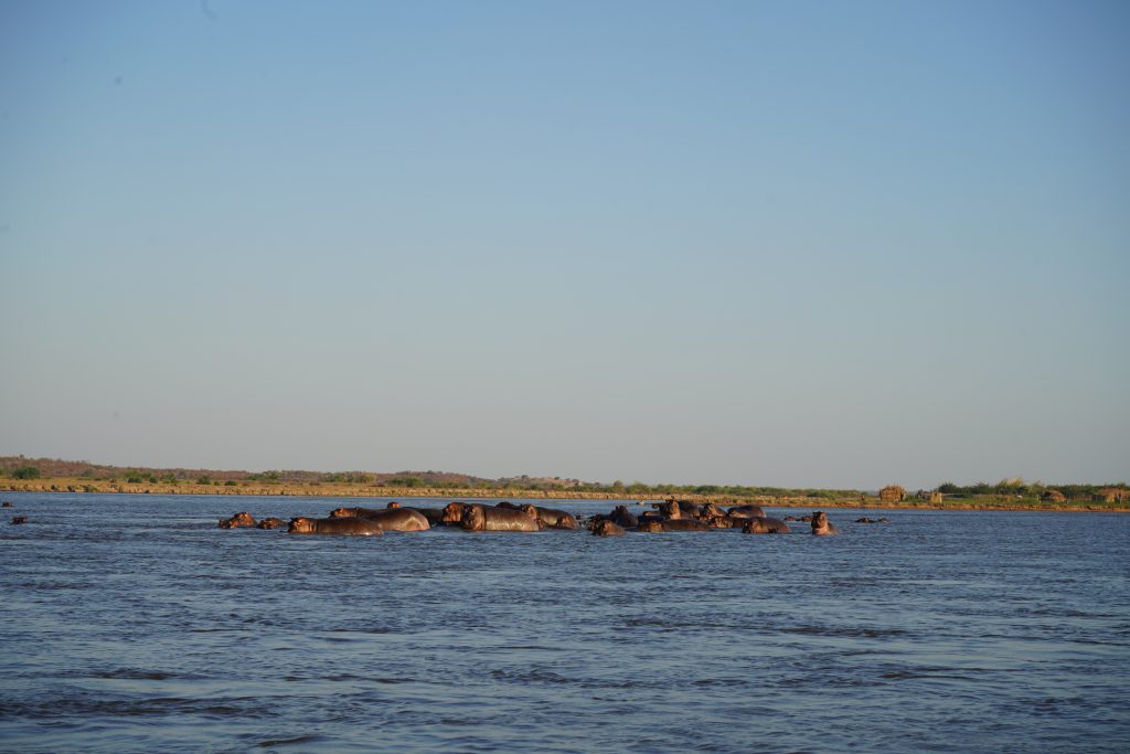 DSC00628