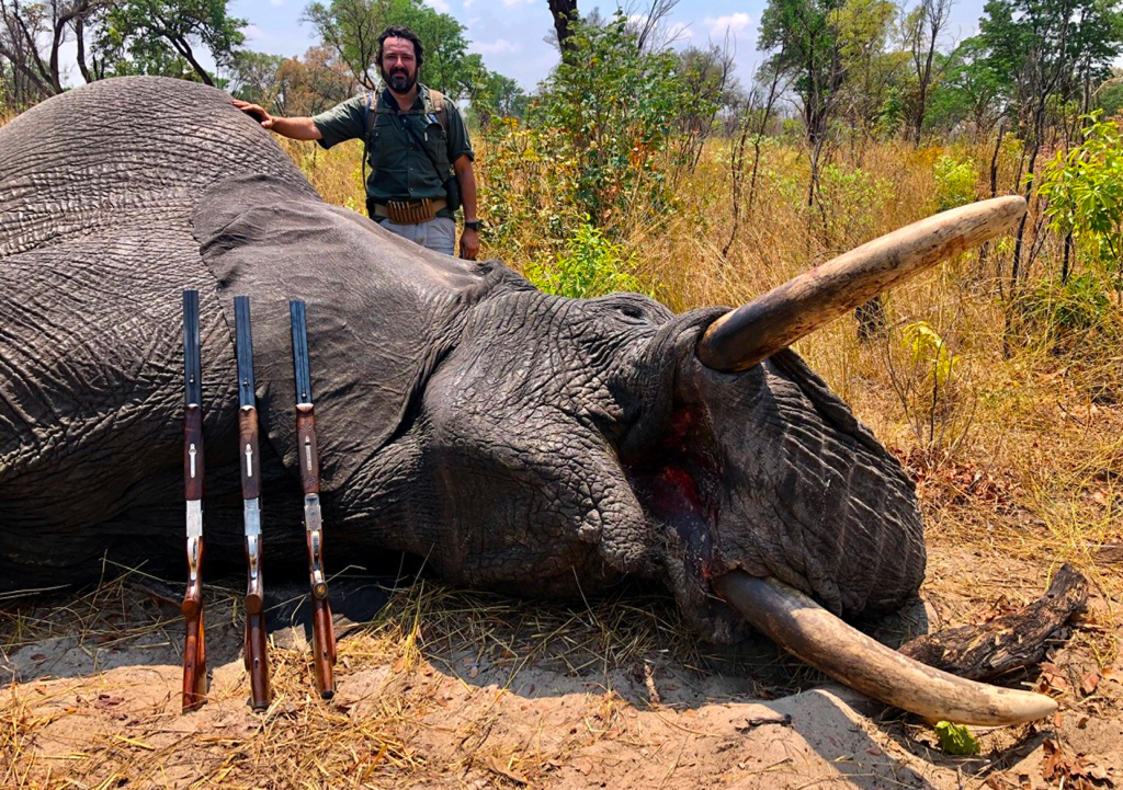ZIMBABWE (1)