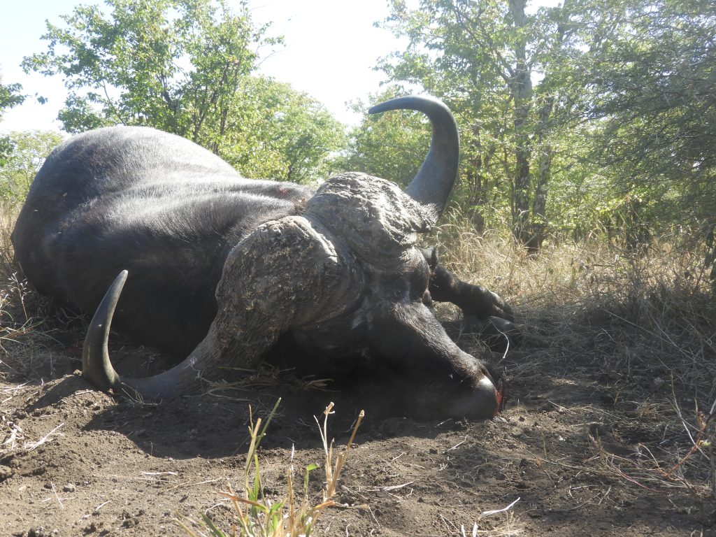 ZIMBABWE (14)