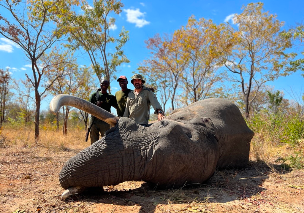 ZIMBABWE (3)