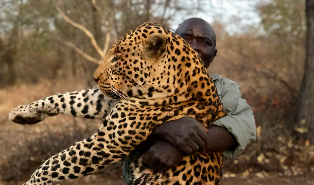 ZIMBABWE (5)