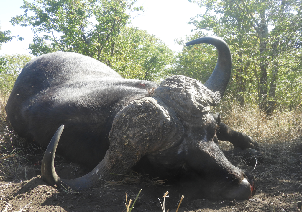 ZIMBABWE (6)