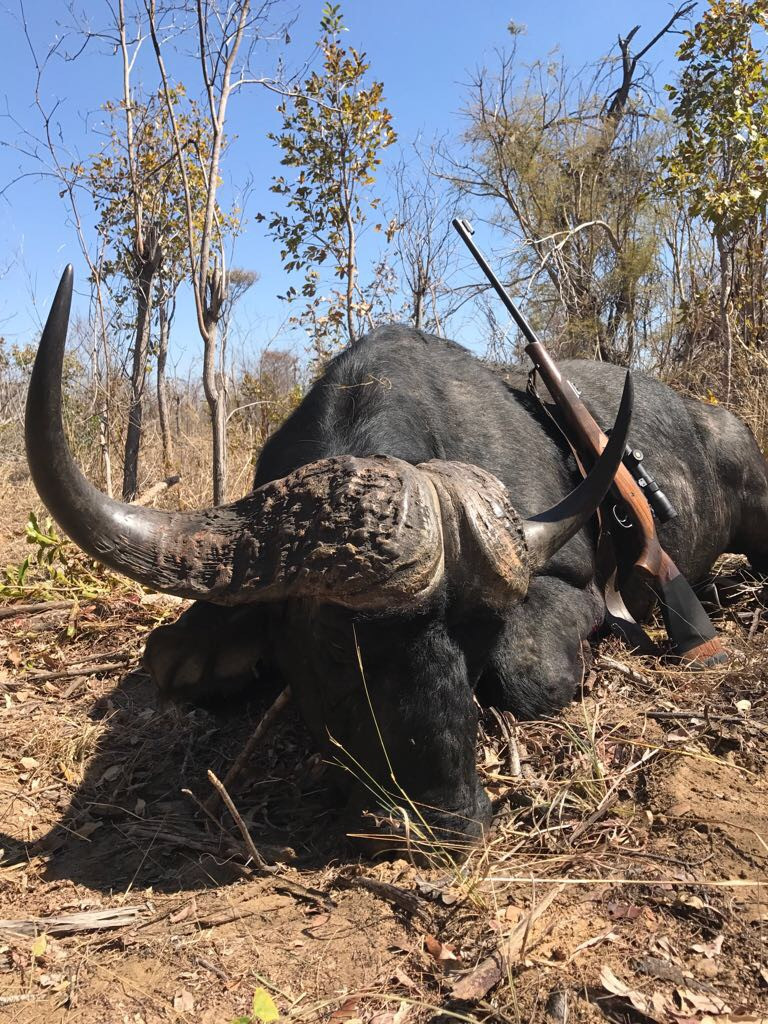 ZIMBABWE (9)